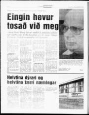 Síða 6
