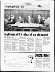 Síða 7