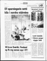 Síða 11