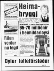 Síða 1
