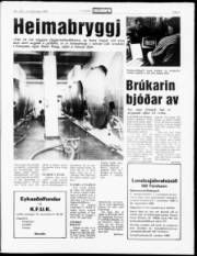 Síða 5