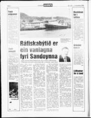 Síða 6