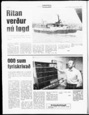 Síða 8