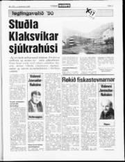 Síða 11