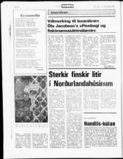 Síða 20