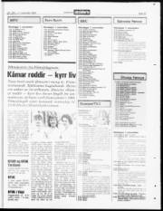 Síða 23