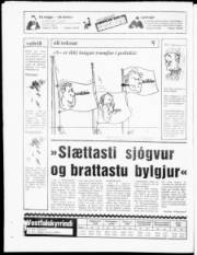 Síða 24