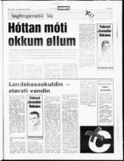 Síða 21