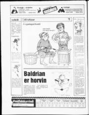 Síða 24