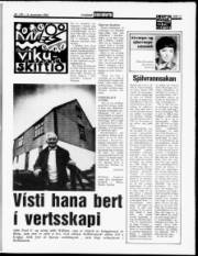 Síða 11