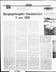 Síða 12