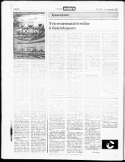 Síða 20