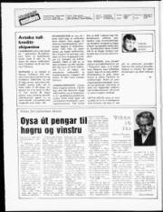 Síða 2
