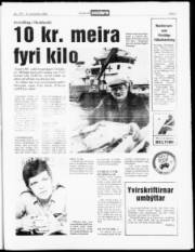 Síða 3