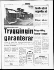 Síða 7