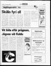 Síða 14