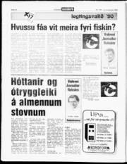 Síða 17