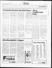 Síða 20