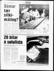 Síða 5