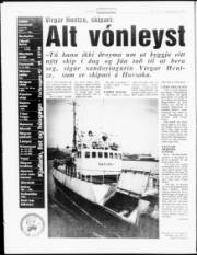 Síða 6