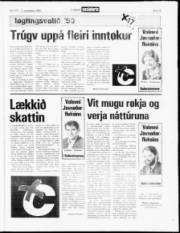 Síða 13