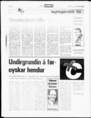Síða 14