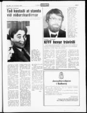 Síða 5