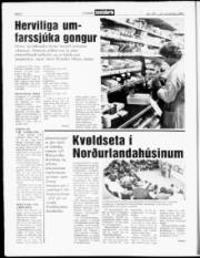 Síða 6