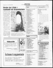 Síða 15
