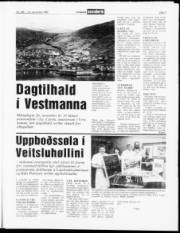Síða 7