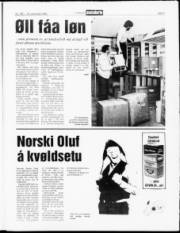 Síða 5