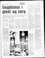 Síða 19