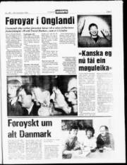 Síða 3