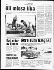 Síða 4