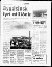 Síða 5