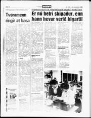 Síða 13