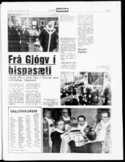 Síða 3