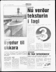 Síða 5