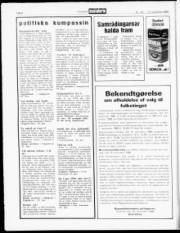 Síða 8