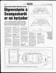 Síða 10