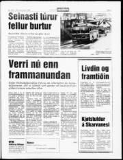 Síða 3