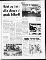 Síða 11