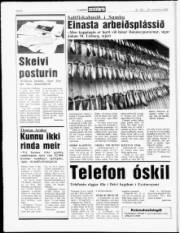 Síða 6