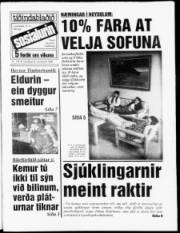Síða 1