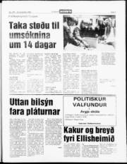 Síða 3