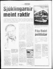 Síða 6
