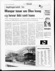 Síða 11