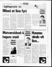Síða 13