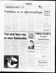 Síða 15