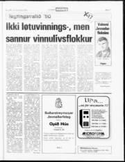 Síða 17